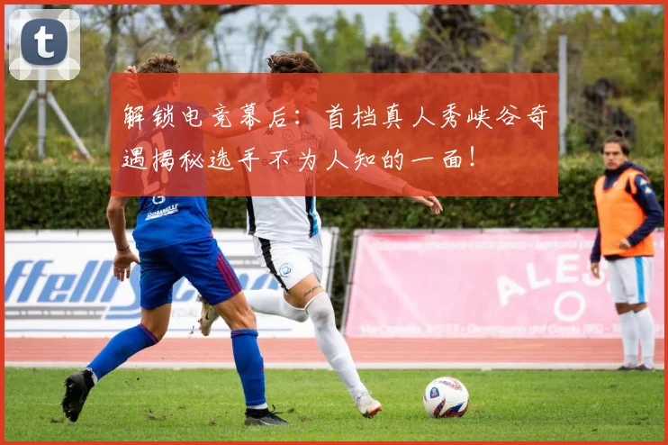 解锁电竞幕后:首档真人秀峡谷奇遇揭秘选手不为人知的一面!