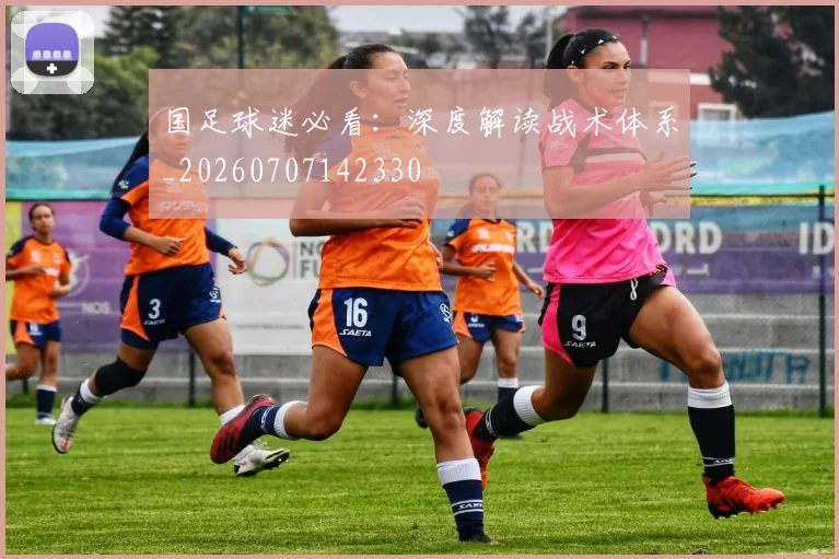 国足球迷必看:深度解读战术体系_20260707142330