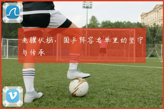 老骥伏枥，国乒阵容名单里的坚守与传承